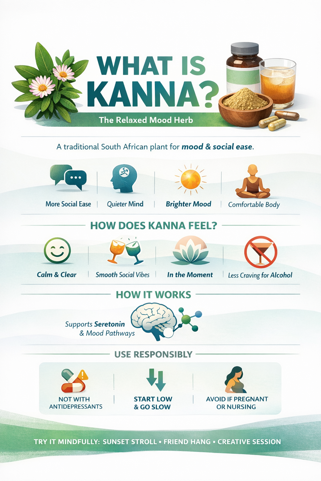 Kanna 101: What It Is, How It Feels, and Why People Use It to Socialize (Without Alcohol)